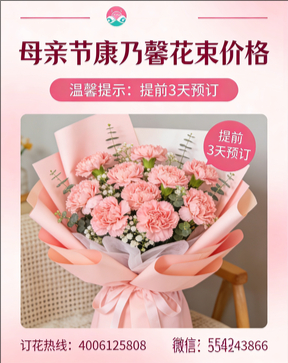 苏州昆山市花店母亲节康乃馨花束