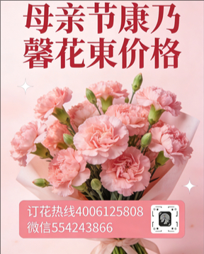 苏州昆山市花店母亲节康乃馨花束